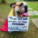 Ericka Nuñez (@0111_Erik) Twitter