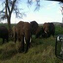 Michael Ndirangu - @MichaelNdiran10 - Twitter