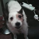 Dan Linehan - @simpack01 - Twitter