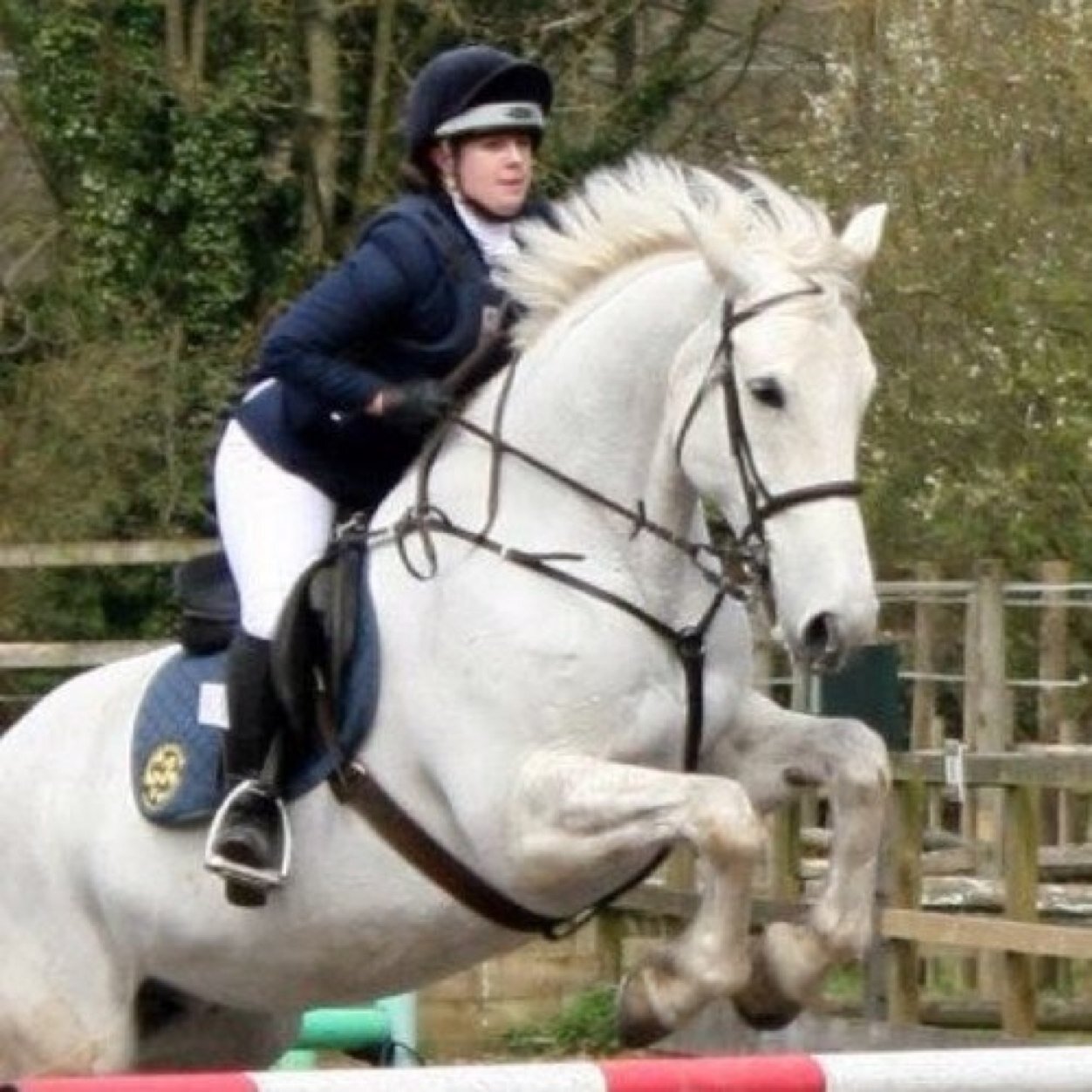UKCEquestrian's profile picture. University of Kent Equestrian Club http://t.co/l4R0LPgHCx #TeamKent #AllForTheTeam