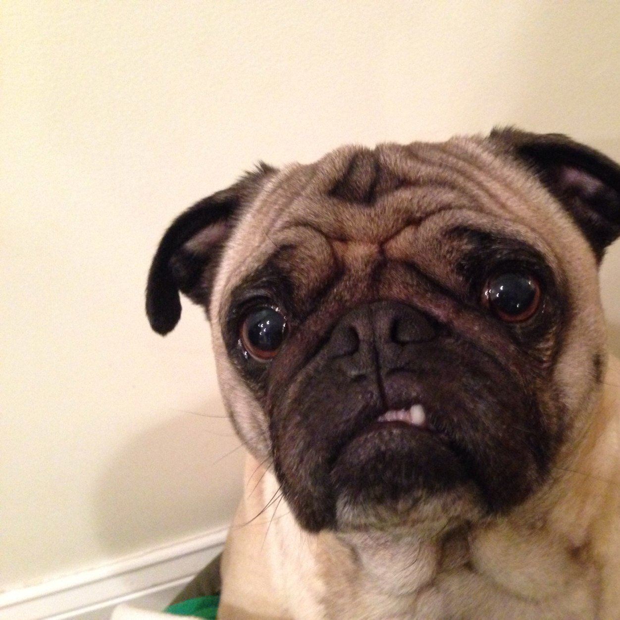 frausarahfalvey's profile picture. 