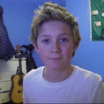 Directioner gleek and nialler