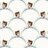 squirrel_ym's profile image