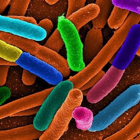 Info Biomedicina e Investigacion Medica - Promocion y Divulgación del Conocimiento Cientifico en Biomedicina y distintas disciplinas de la Investigación Medica.