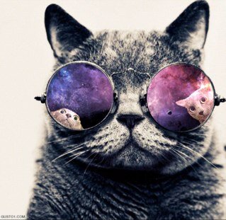 Cats are awesome if they wear glasses