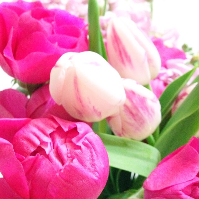 自分を大切に☆happy my life♡