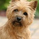 Heather Friend - @featherhend - Twitter