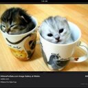 Hailey Conrad - @conrad393 - Twitter