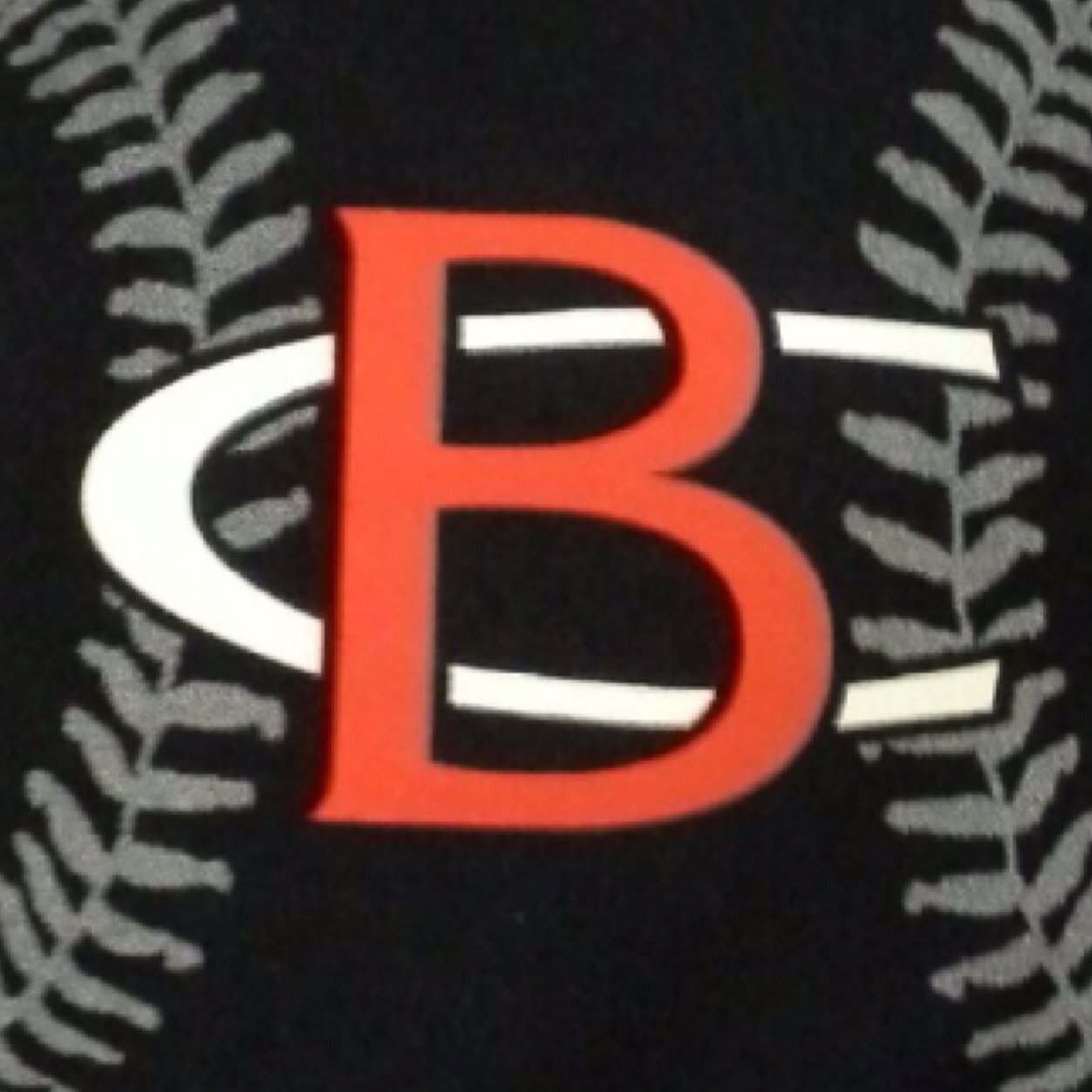 Bath County Softball Profile