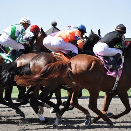 The Handicapping Housewife, Equestrian, Horse Racing Fan