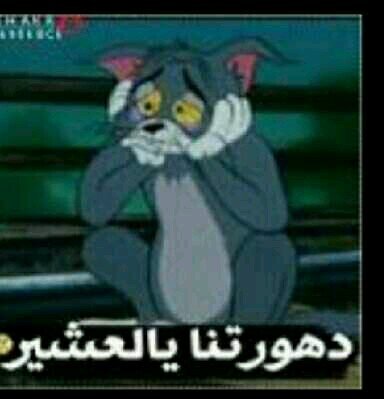 ‏        ‏‏‏  حَسآبُ-لُلُنَكتّ وٌ آلُتّحَشَيّشَ''''             
تّرًآ آآلُ فُوٌلُو مُأِيّكهّرًب ُ...   آلُجَمُهّوٌرًيّهّ أِلُأِشَتّرًأِكيّهّ آلُتّحَشَيّشَيّهّ