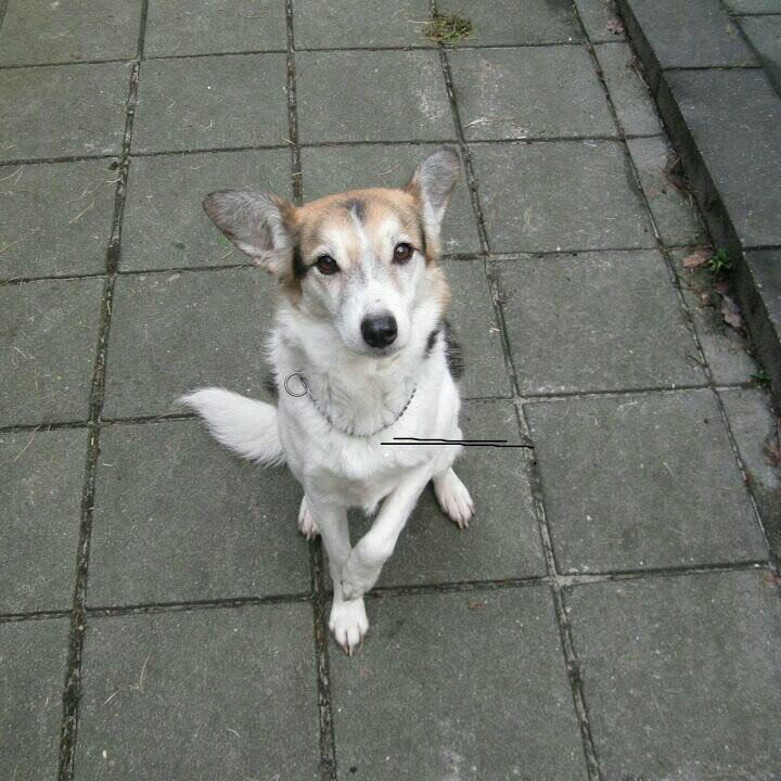 kees_wolthuis's profile picture. 