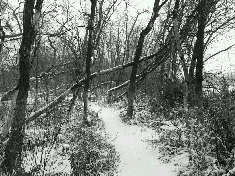 lizapaluck's profile picture. 