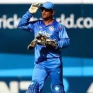 Profesional Cricket player for the Indian team