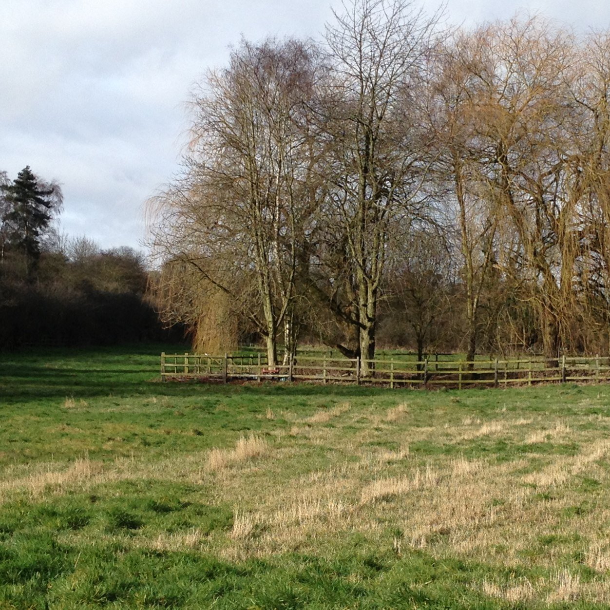 Community Meadow Groby