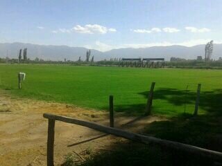 juanlertora1's profile picture. 