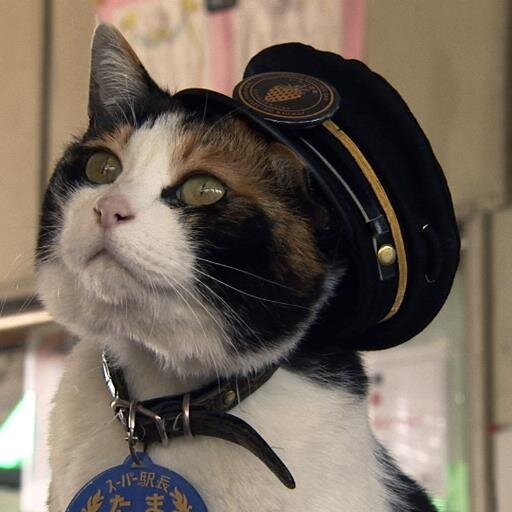 主に関西地区周辺の現場で地下アイドルさんにすきすき♡ゆうてるキモい奴で嫌われ者のDD。すきな子いっぱいいてて スミマセン🙇‍♂️ まいまいぺろぺろ