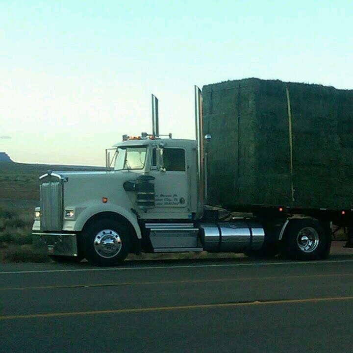 VmasonJr's profile picture. 