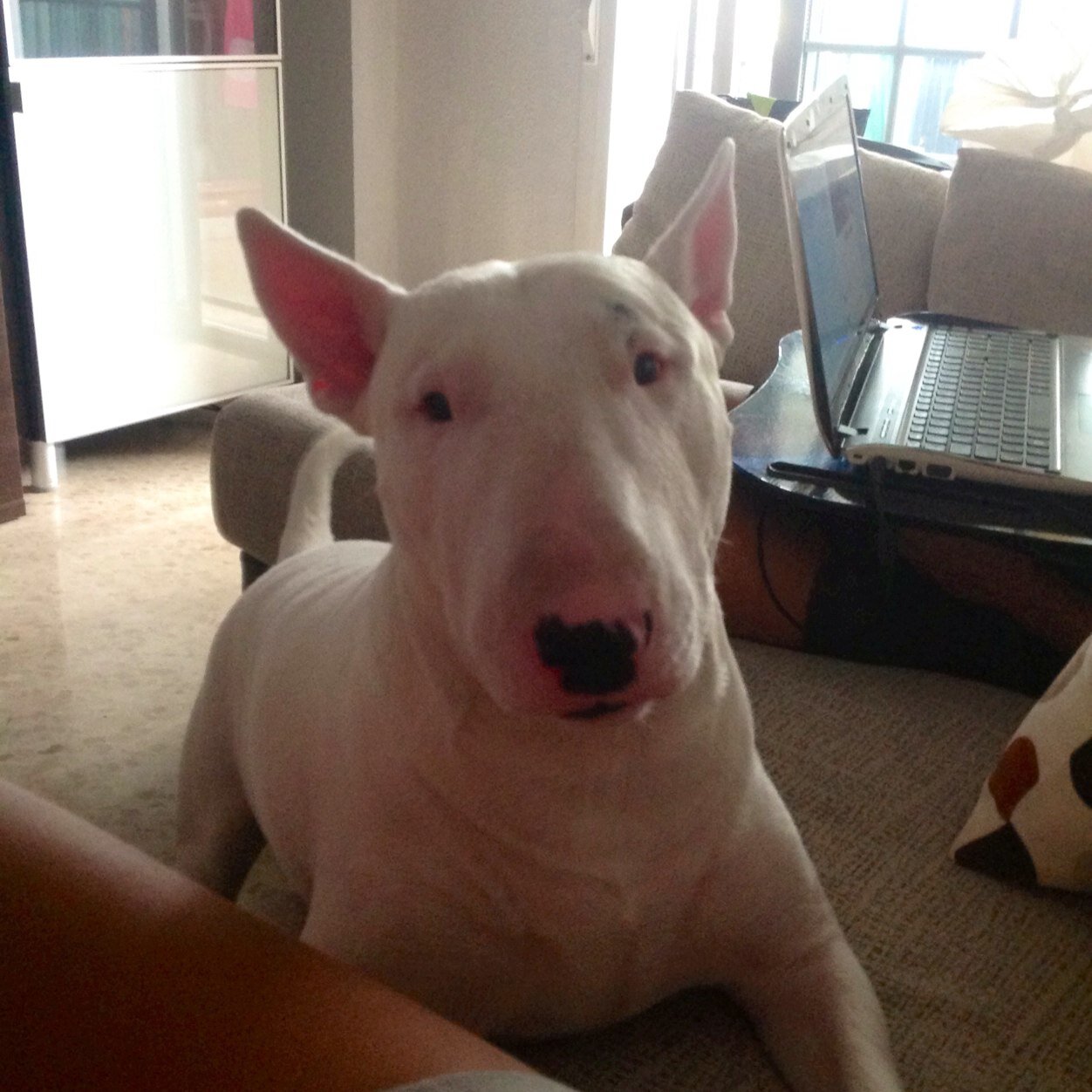 rociosfc1905's profile picture. 