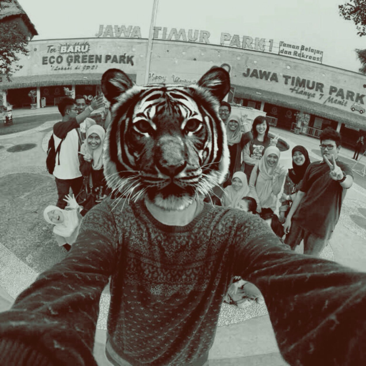 almyfirasghani's profile picture. Coldplayer | Coldplay