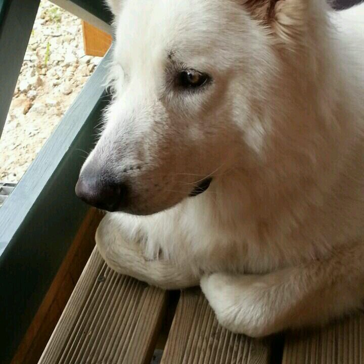 jwf_jwf's profile picture. 