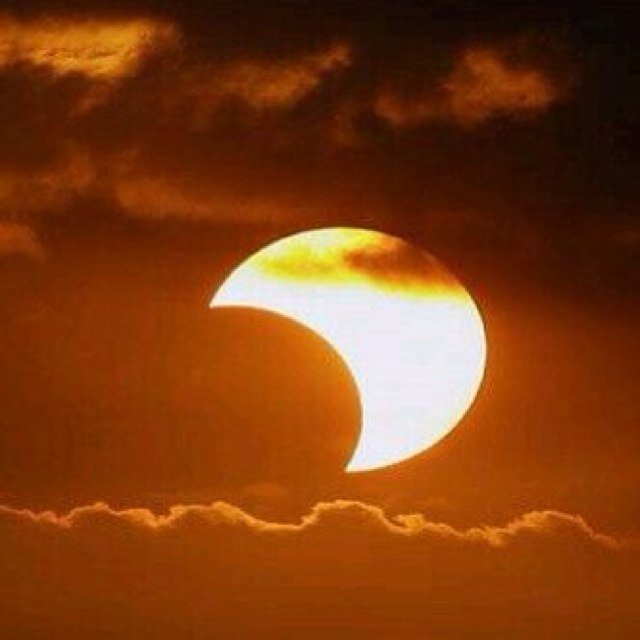 ffss60's profile picture. 