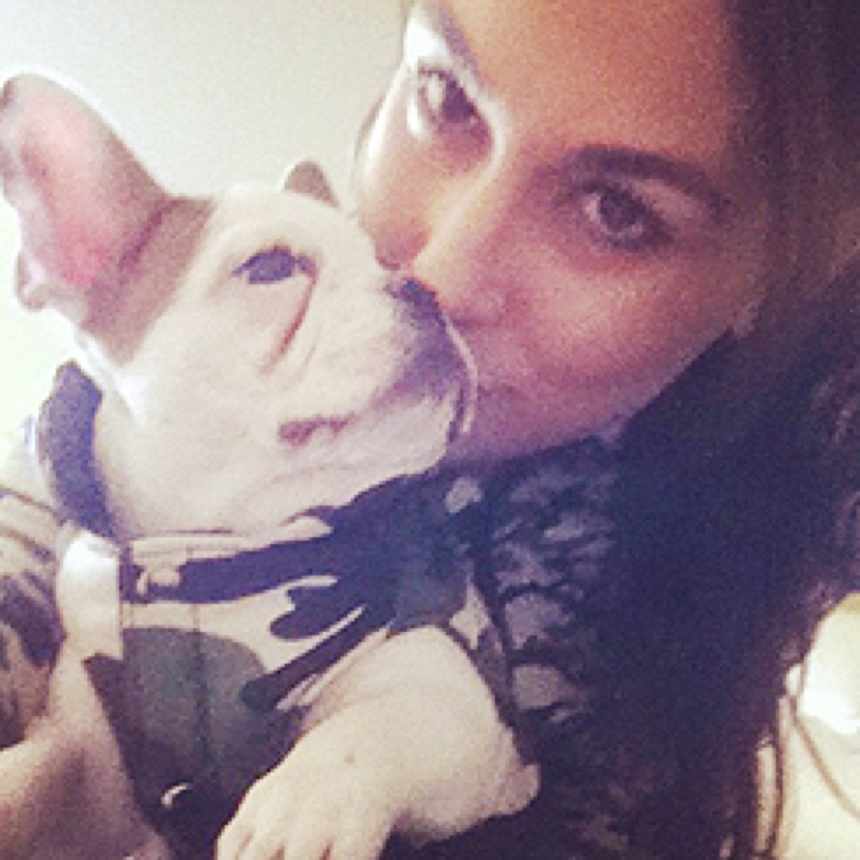 WWEDogJosie's profile picture. Dog Of Daniel Bryan & Brie Bella. (RP) {Was @DogJosie} Tweets by Daniel & Brie. (NON-HATE ACCOUNT! STOP THE HATE OR YOU WILL BE BLOCKED!)