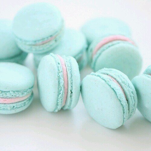 appleai0737's profile picture. 