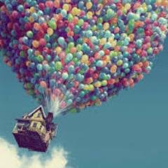 ShJK13's profile picture. Photographer, PhD in American Studies and believer that: life doesn't make narrative sense.