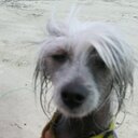 David Regier - @7rdrovers - Twitter