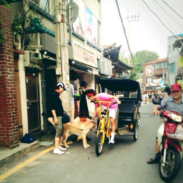 keepitupmk's profile picture. 음악, 고양이, 호박죽, 소통, 영화, 책 그리고..