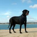 Jacquelyn Walker - @1smooth2 - Twitter