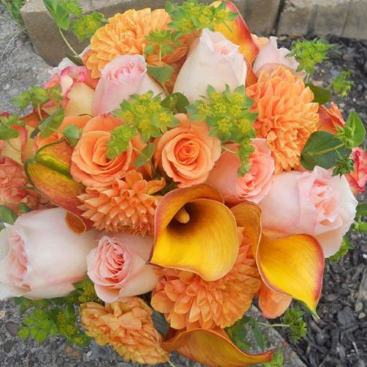 AndradeRima's profile picture. 