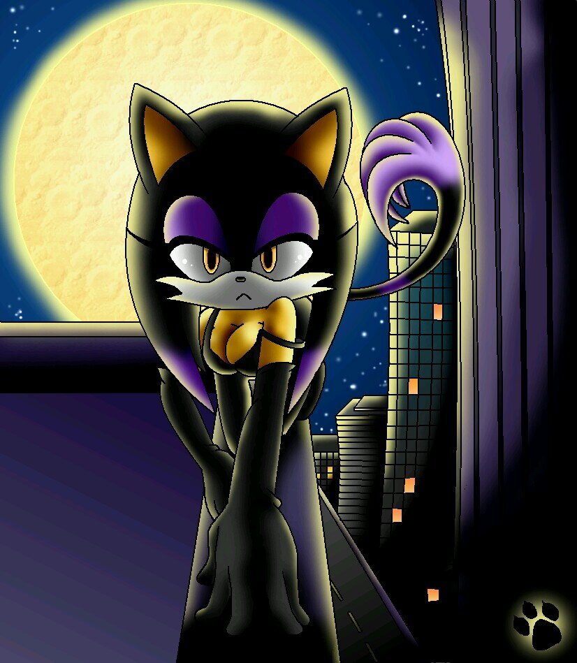 RougeTheBatcool's profile picture. (RP) Hi.i am Shadina The DarkHog and i love nightime.im sexy and cute. i am 19 years old #married to:@DanixHedgehog back off girls!!