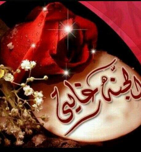 لاشيء يمنحني الحياآإة..إلا يقيني بأنگ معي يالله../اللهم أحسن خاآإتمتي وارزقني الفردوس الأعلى من الجنة..گم أنا محتااآجة لگ يااربي♥♥