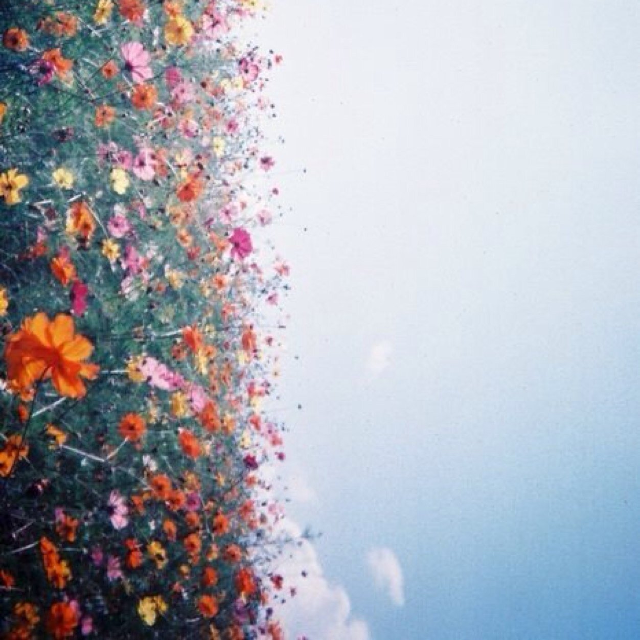 happinessDay8's profile picture. Per info: 365happinessdays@gmail.com