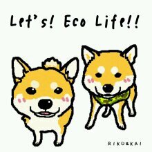 mariku_kai7214's profile picture. 山ハイクの相棒柴犬リク(17
歳2ヶ月23日永眠)とリクの息子食いしんBoyのカイ(13歳2ヶ月歳)がいます。気軽にフォローしてください。ヨロシクお願いします♪結構サボります。