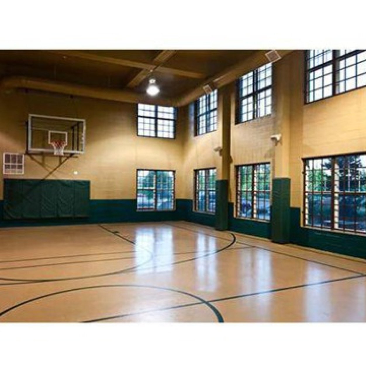 PinnaclesBBALL's profile picture. 