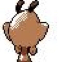 Admiral has sadly died to the evil PC system. 0d 5h 22m - 1d 8h 20m #TwitchPlaysPokemon