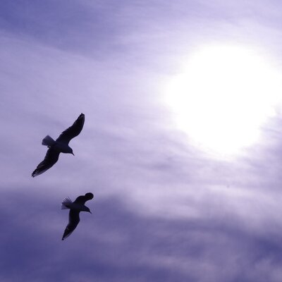 akikaze (akikaze_Tw) Twitter