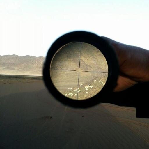 سائح محترف