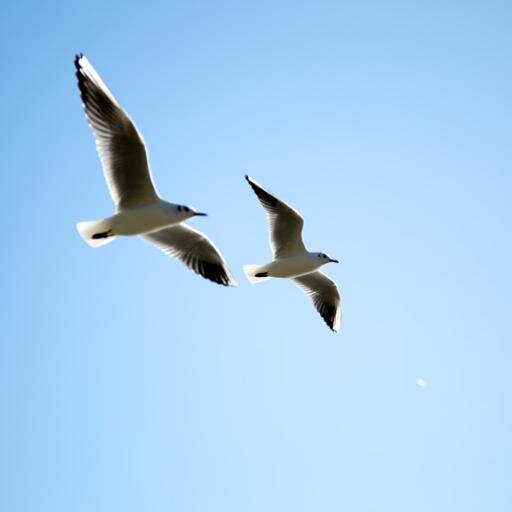 polariserPhoto's profile picture. Dabbling in photography!   Ambuj Sinha