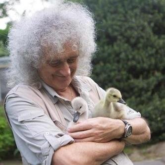 This accout is to show how much fans love Brian May, and will always support him if he needs us!☺Check out our Facebook page (it's MUCH more complete) :