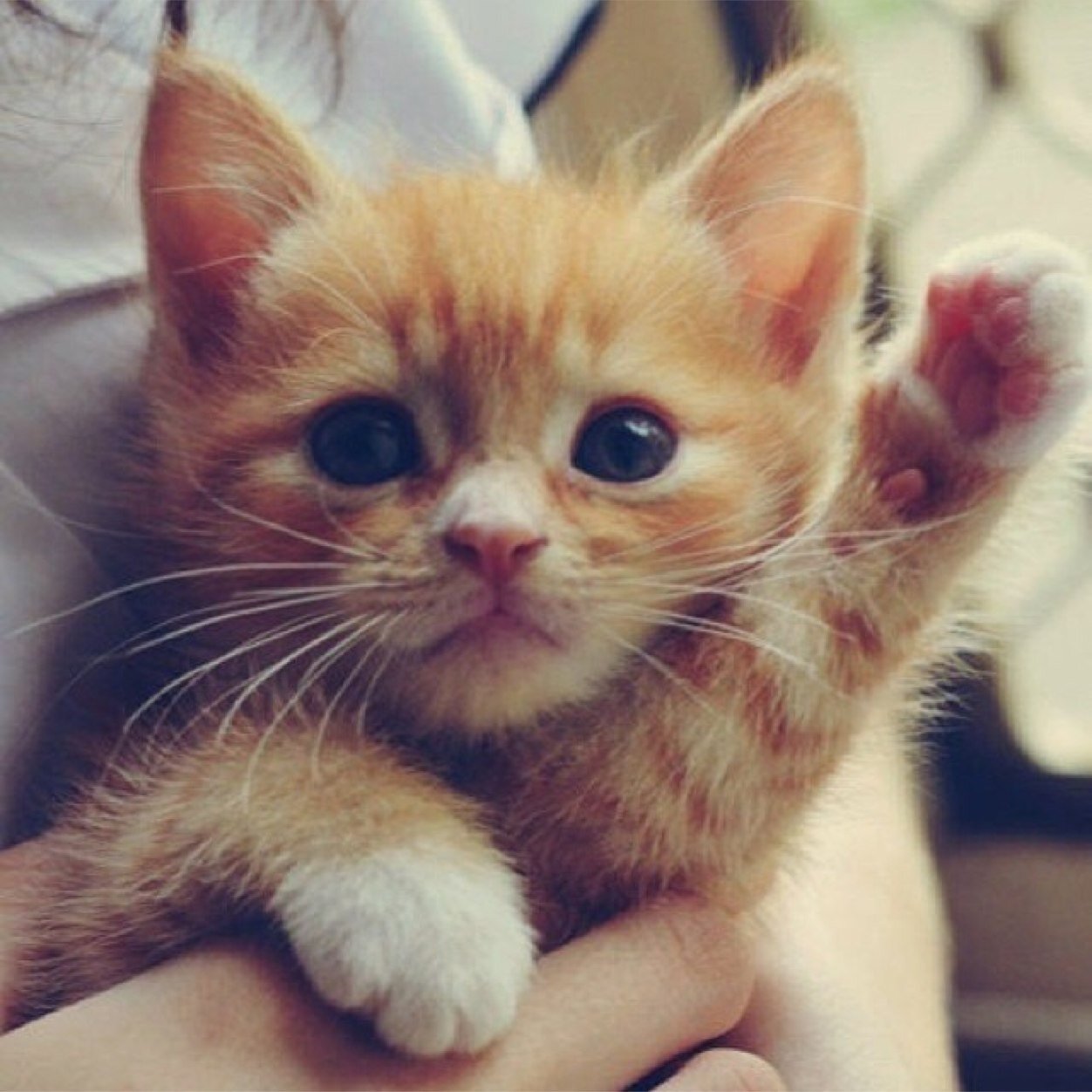 Do you even care?