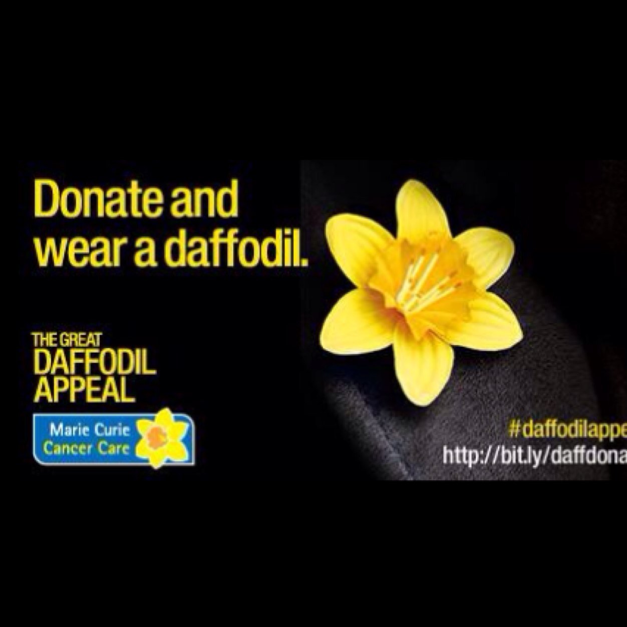 SueLBarclay's profile picture. 