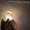 rafael aroca felix - @rafael1237301 - Twitter