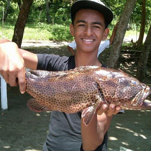 diony_jesus's profile picture. 