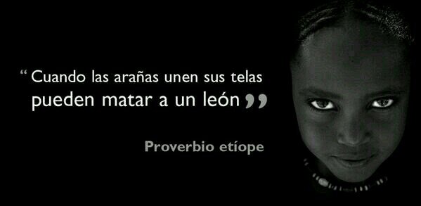 azyaloril's profile picture. 