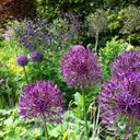 chris medhurst - @medhurst_chris - Twitter