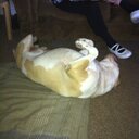 Dan mcgee - @DMcgee5530 - Twitter